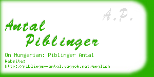 antal piblinger business card